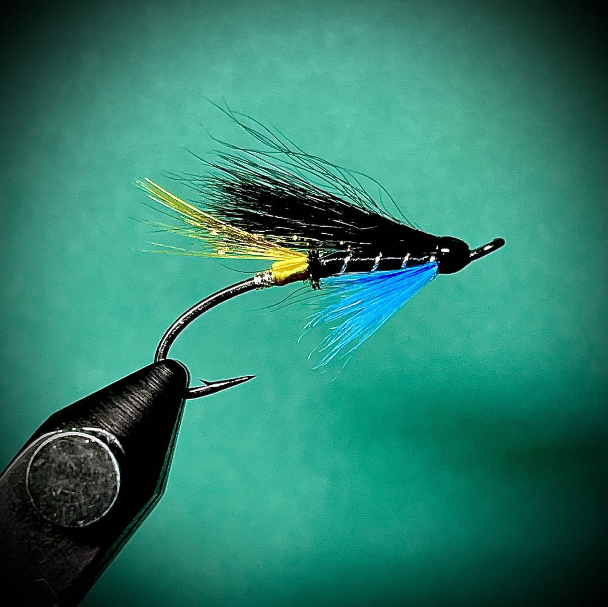 Blue charm – Check Your Flies