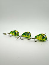 Load image into Gallery viewer, Deer Hair Diving Frogs-Set of 3