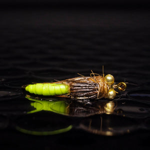 3 Caddis pupa