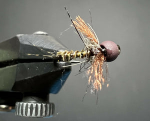 The Biot Bug