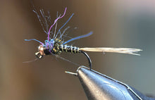 Load image into Gallery viewer, Jig Head Pheasant Tail Nymph