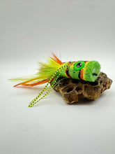 Load image into Gallery viewer, Deer Hair Popper - Little Egypt Fly Co