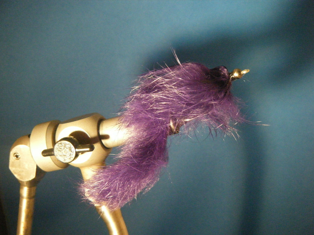 BH Zonker Eel-Purple