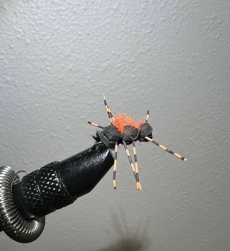 Chernobyl Ant