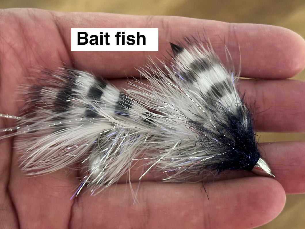 \Peanut Envy - Baitfish - Bench Goblin