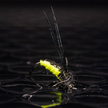 Load image into Gallery viewer, 3 Caddis pupa