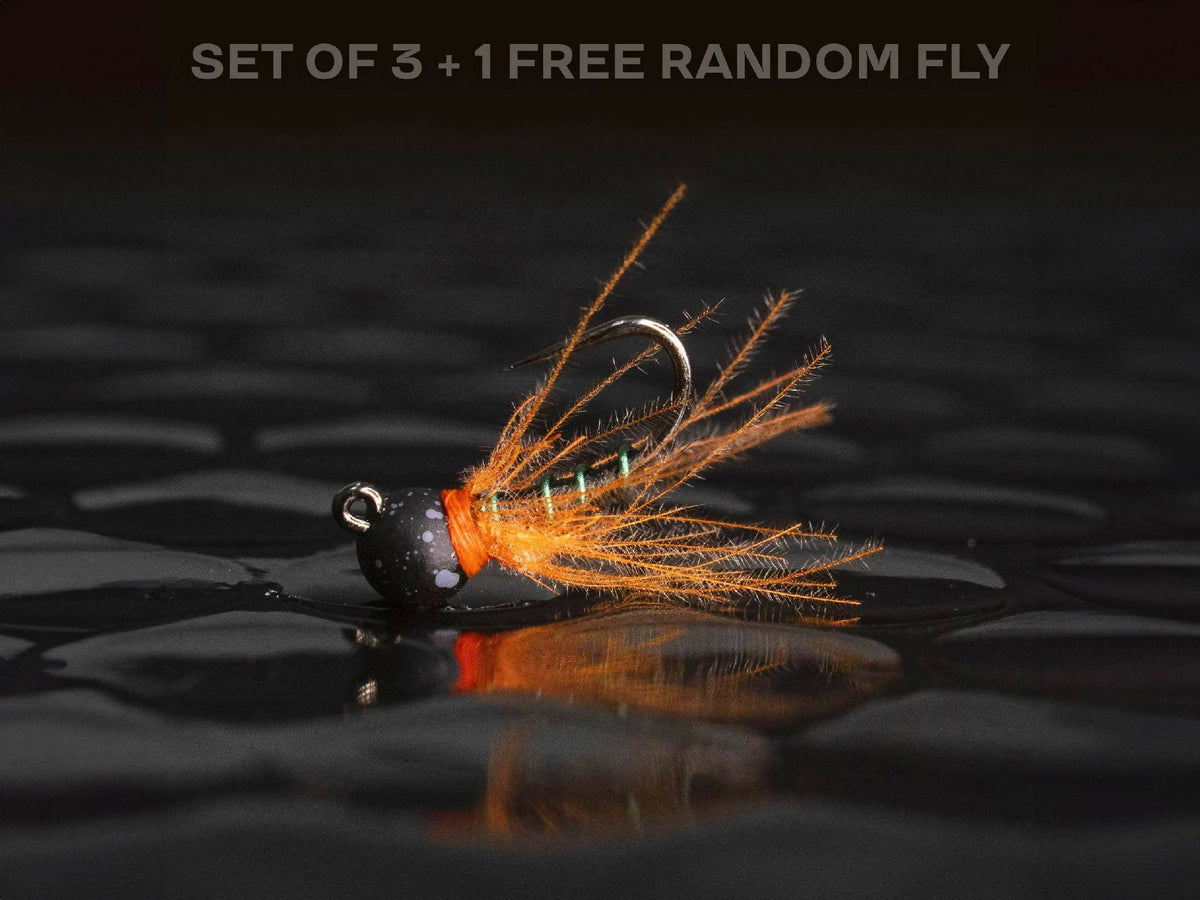 3 CDC nymphs + 1 FREE random fly — Tungsten euro nymph perfect for ...