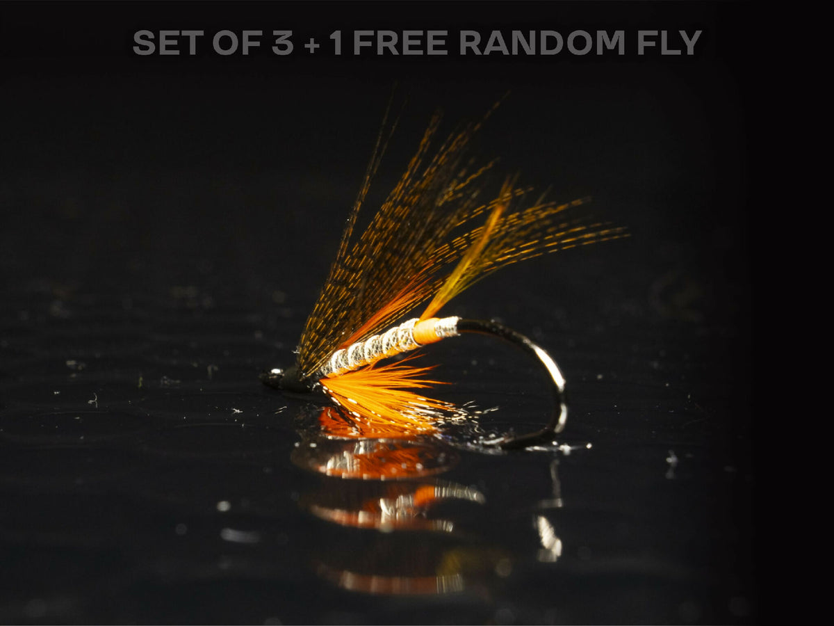 3 Blackville + 1 FREE random salmon fly — Salmon fly fishing wet flies ...