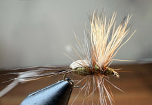 Load image into Gallery viewer, Royal humpy olive
