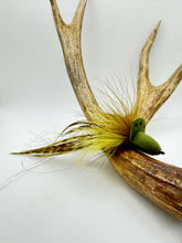 Load image into Gallery viewer, Bubblehead Diver Fly