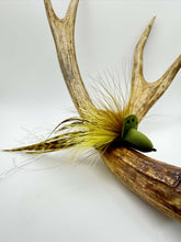 Load image into Gallery viewer, Bubblehead Diver Fly