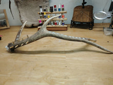 Load image into Gallery viewer, Custom, handmade Elk Antler Fly Tying Tool Caddy