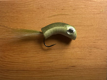 Load image into Gallery viewer, IMG_0234