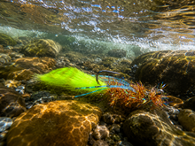 Load image into Gallery viewer, The Bassmaster fly