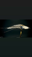 Load image into Gallery viewer, River minnow