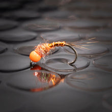 Load image into Gallery viewer, 3 orange nymphs