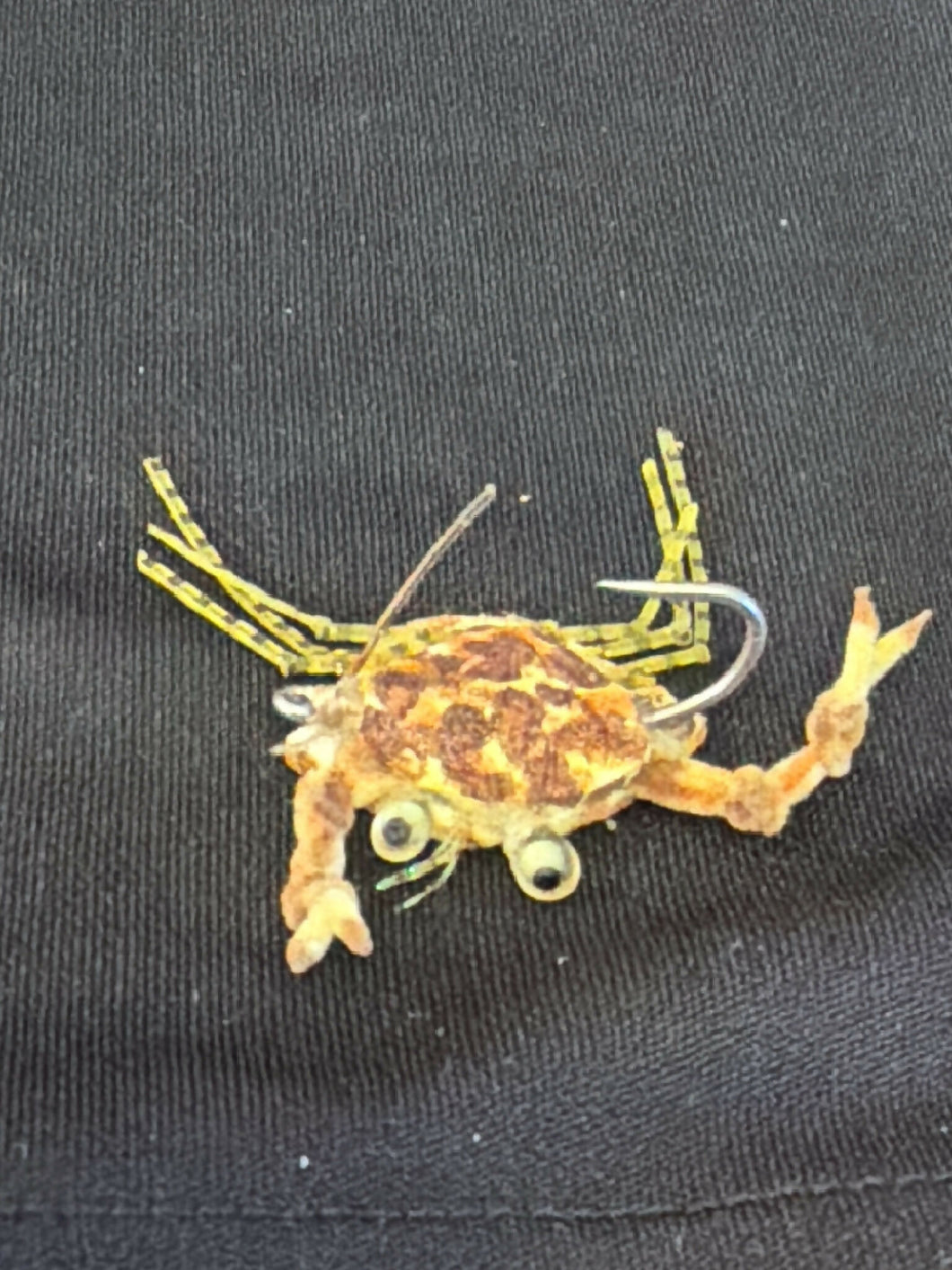 Floating Sargasso crab with rubber legs