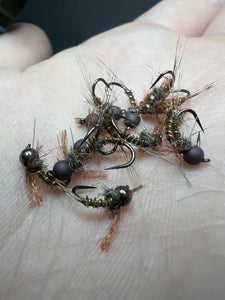 The Biot Bug