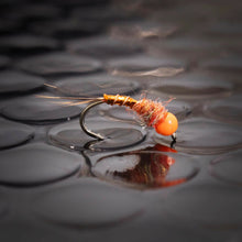 Load image into Gallery viewer, 3 orange nymphs