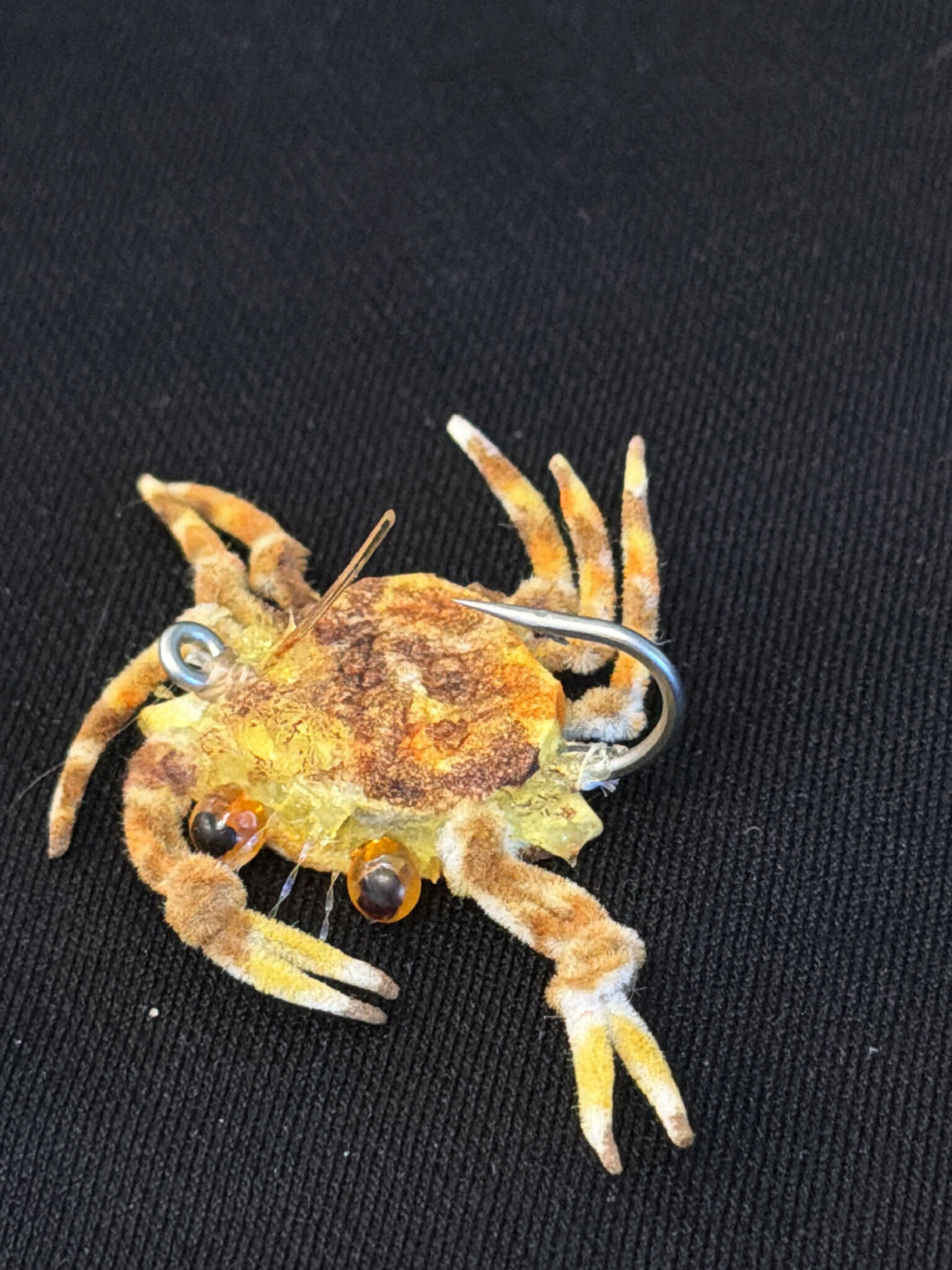 Floating Sargasso Crab - for S. Mexico
