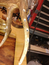 Load image into Gallery viewer, Elk Antler Fly Tying Station