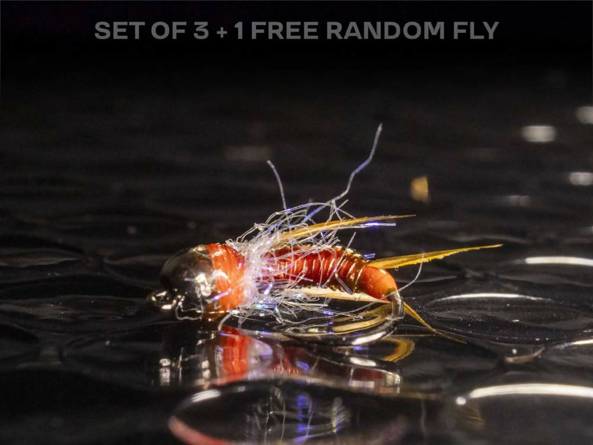 3 prince jig flies + 1 FREE random fly — Tungsten egg laying euro ...