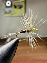 Load image into Gallery viewer, Quill Gordon 6 Pack
