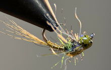 Load image into Gallery viewer, Evil Olive Nymph
