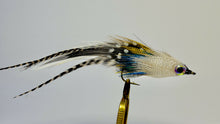 Load image into Gallery viewer, River minnow