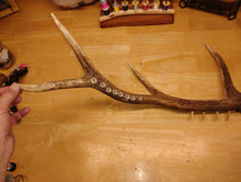 Load image into Gallery viewer, Custom, handmade Elk Antler Fly Tying Tool Caddy
