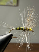 Load image into Gallery viewer, Quill Gordon 6 Pack
