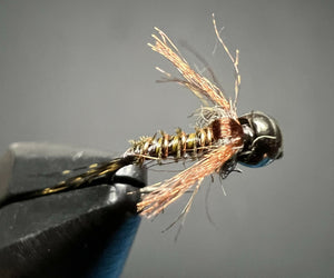 The Biot Bug