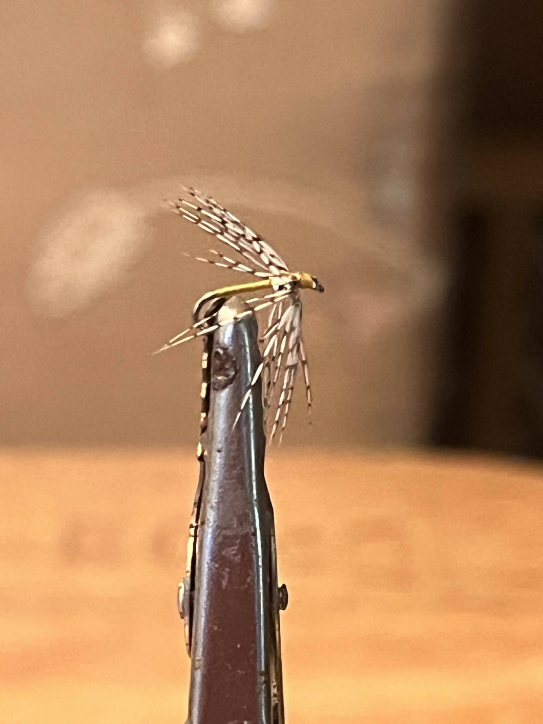 Partridge & Tan with Bead