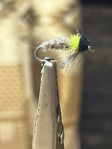 Peeking Caddis