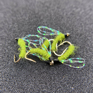 In-Between Pupa
