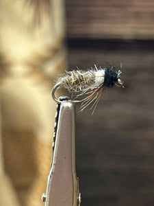 Peeking Caddis