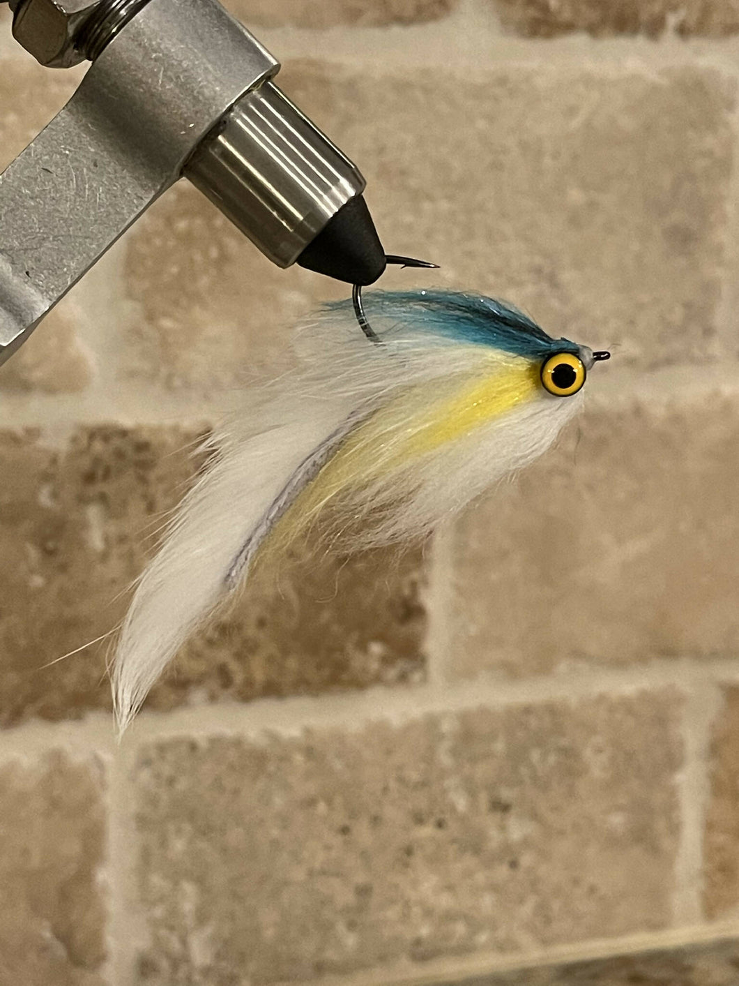 Sexy Shad Lunch Money
