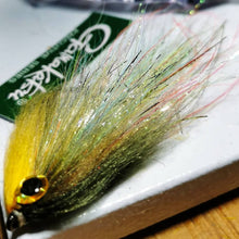 Load image into Gallery viewer, Disco Herring Variation
