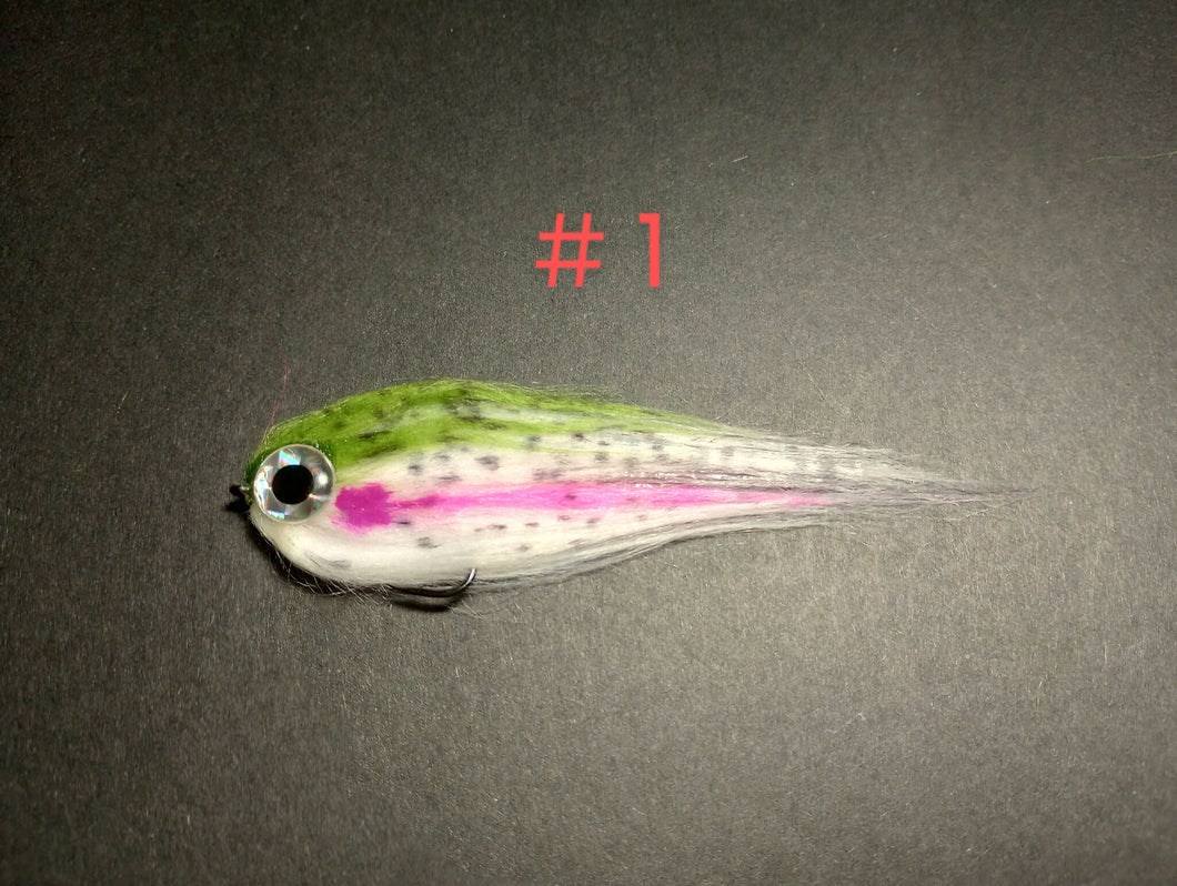 Big Eye Polar Baitfish
