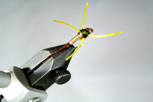 Load image into Gallery viewer, Golden Stone Rubber leg- Check Your Flies
