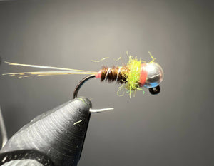 Kiwi Killa