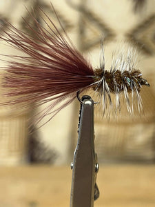 Woolly Bugger