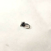 Load image into Gallery viewer, Zebra Midge