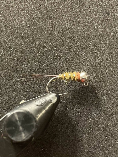Nelson’s BWO