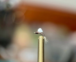 Midge pack - 2 dozen flies, 4 proven patterns!
