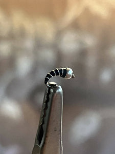 Zebra Midge