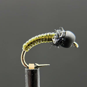 Glass Caddis