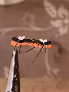Chernobyl Ant