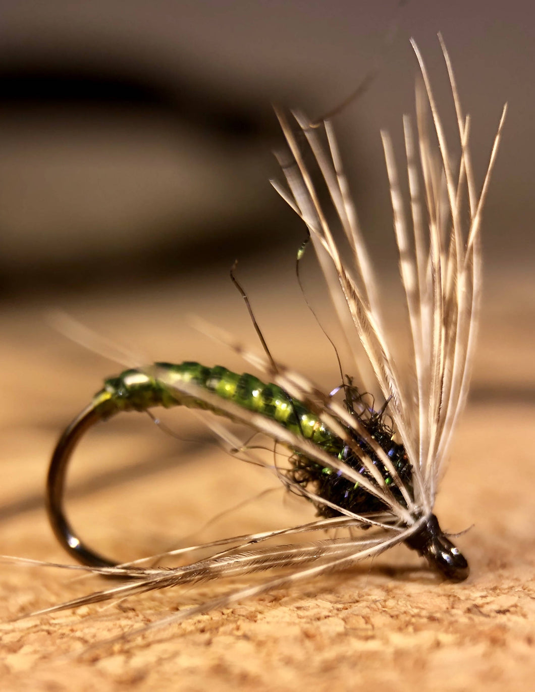 Caddis pupa