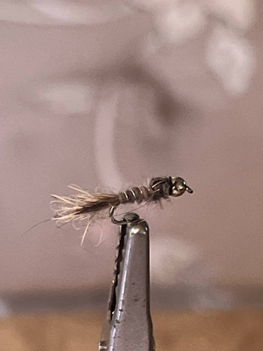 Gold Ribbed Hares Ear